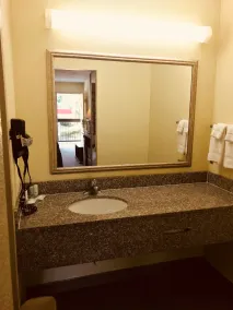 Quality Inn & Suites Conference Center Statesboro Historic District - Salle de bain