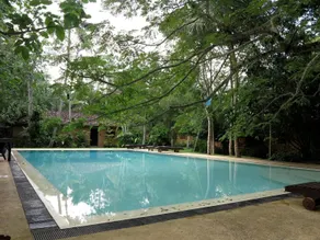 Bungalow Sud - Pool