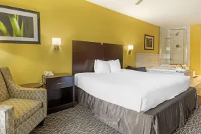 Best Western West Monroe Inn - Room