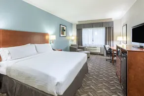 Holiday Inn Express Hotel and Suites Lake Charles by IHG - Chambre