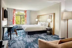 Fairfield by Marriott Inn & Suites Asheville Outlets - Chambre