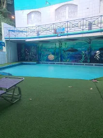 Alicia's Palace - Pool