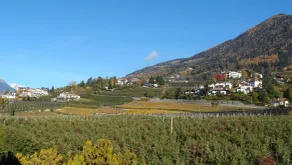 Hotel Pension Verdorfer - Udsigt fra værelset