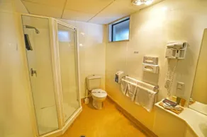 Ashwood Manor Motor Lodge - Salle de bain