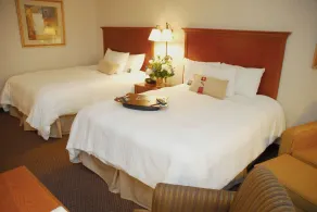 Hampton Inn Columbus - Airport - Chambre