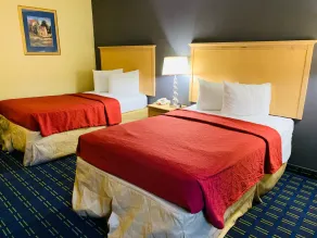 Value Lodge - Gainesville - Rom