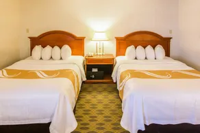Quality Inn & Suites University - Chambre