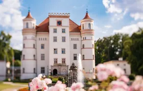 Pałac Wojanów - Reception