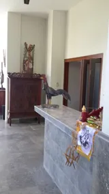 Amed Beach Villa - Réception