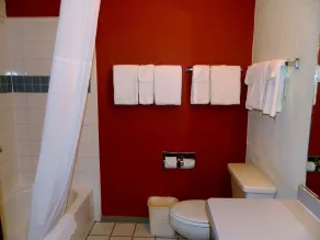 Quality Inn & Suites Farmington - Salle de bain