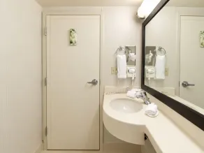 Wyndham Garden Monterrey Aeropuerto - Bathroom