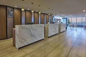 City Express Plus by Marriott Ciudad de Mexico Interlomas - Reception