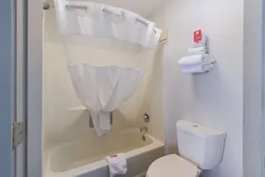 Econo Lodge Greenville near University - Salle de bain