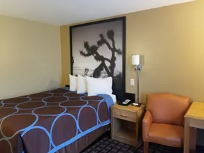 Super 8 by Wyndham Carson City Lake Tahoe - Chambre