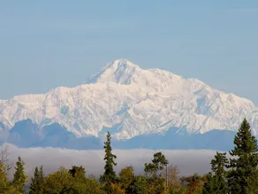 Grace and Bill's Freedom Hills B&B - Vue de la chambre