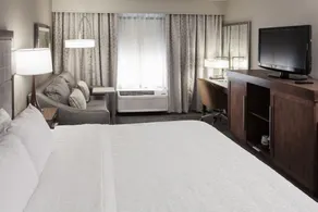 Hampton Inn & Suites Dallas-DFW Airport North-Grapevine - Chambre