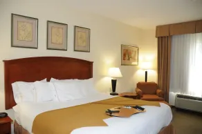 Holiday Inn Express Hotel & Suites Dallas - Grand Prairie I-20 by IHG - Chambre