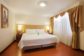 Hotel Fernando Plaza - Chambre