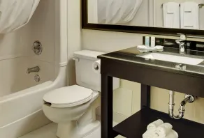 Comfort Inn - Baño