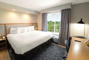 Fairfield Inn & Suites Jacksonville Butler Boulevard - Chambre