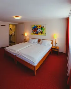 Hotel am Mühlbach - Room