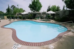 Holiday Inn Selma - Swancourt by IHG - Piscine