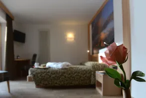Hotel Alpino - Habitación