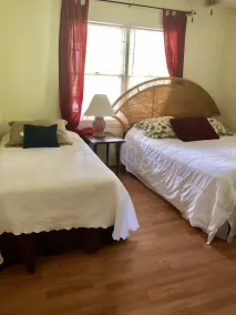 Beach Nut - Room