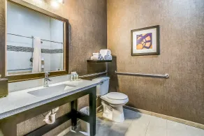 Holiday Inn Longview - North by IHG - Chambre