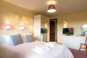 The Hanmer Arms - Room