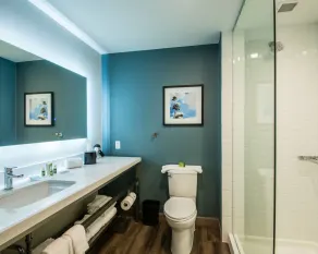 Cambria Hotel McAllen Convention Center - Salle de bain
