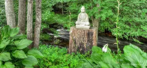 Magnolia Streamside Resort - Spa