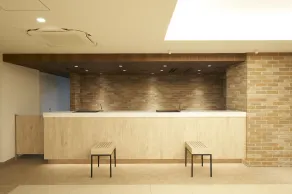 Sotetsu Fresa Inn Ginza Sanchome - Reception