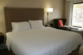 Hampton Inn Caryville-I-75/Cove Lake-State Park - Chambre