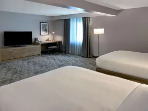 DoubleTree by Hilton St. Louis Airport - Chambre