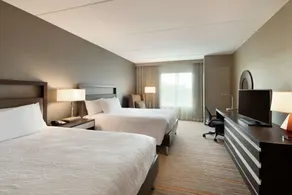 Hilton Garden Inn Rochester/University & Medical Center - Chambre