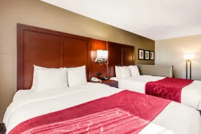 Comfort Suites Tuscaloosa near University - Chambre