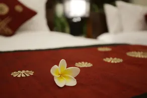 Royal Nyanyi Villa - Rum