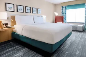 Hilton Garden Inn Sioux Falls South - Værelse