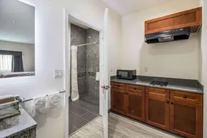Regency Inn & Suites Humble FM1960 - IAH Airport - Salle de bain