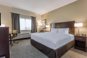 Wingate by Wyndham Gurnee - Chambre