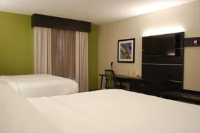 Holiday Inn Express Hotel & Suites Kingsport-Meadowview I-26 by IHG - Chambre