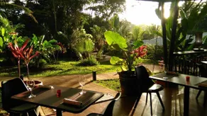 Oasis de las Palmas - Restaurante