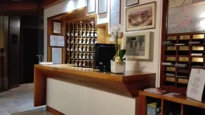 Albergo Delle Alpi - Reception