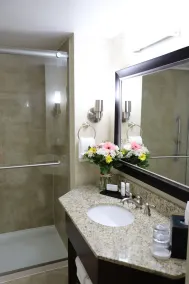 Embassy Suites by Hilton Nashville at Vanderbilt - Bathroom