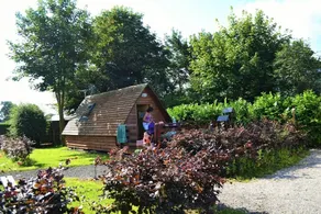 Royal Umpire Caravan Park - Room