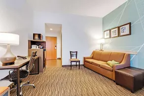 Comfort Suites Murfreesboro Shopping District - Room