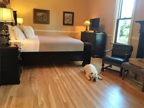Steele Mansion Inn & Gathering Hub - Room