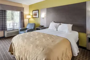 Quality Inn Greer - Greenville - Chambre