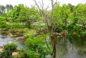 Twin Mountain Inn & Suites - View from room